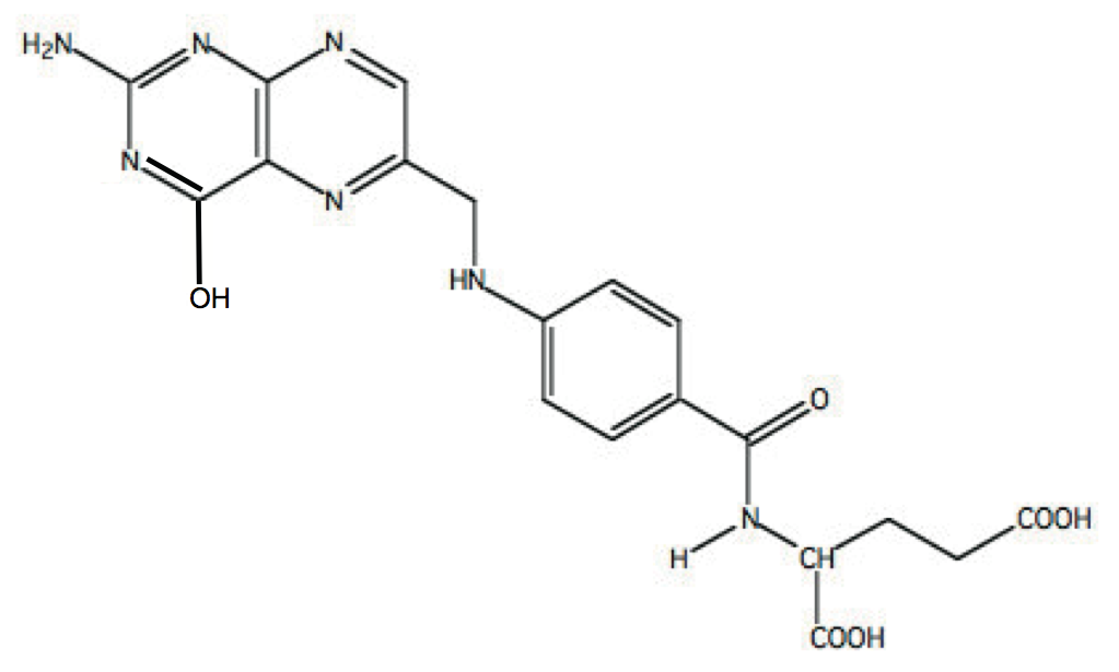 エノール型の葉酸