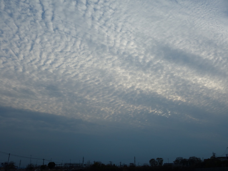 西の空のうろこ雲