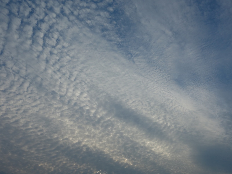 西の空のうろこ雲